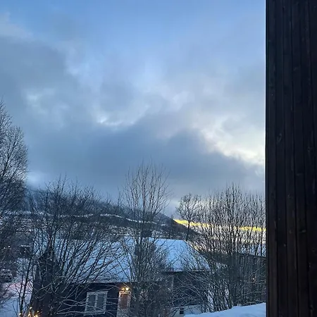 Artic Lejlighed