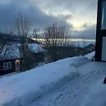 Artic